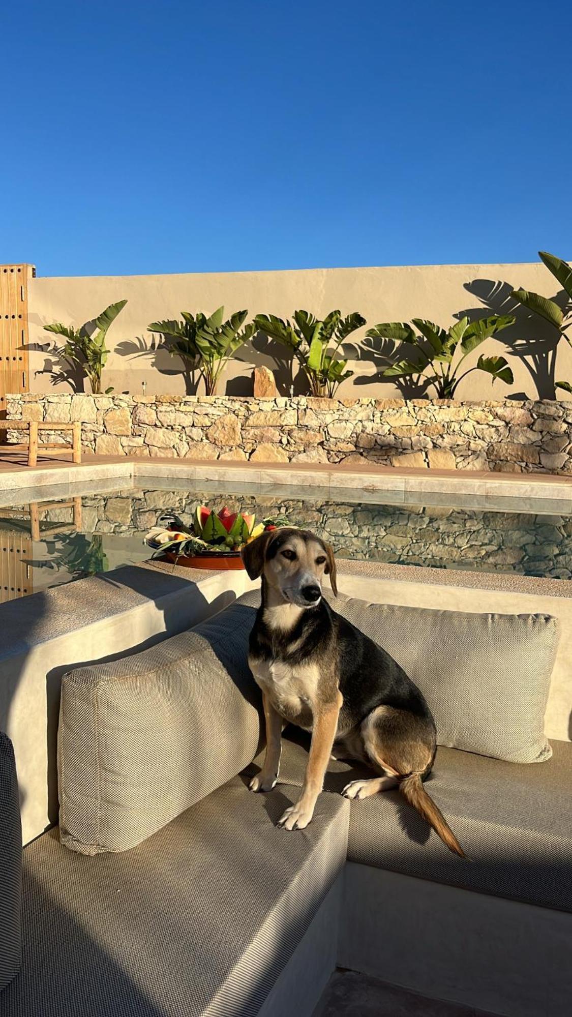 Bed and Breakfast Argan House Morocco Taghazout Zewnętrze zdjęcie